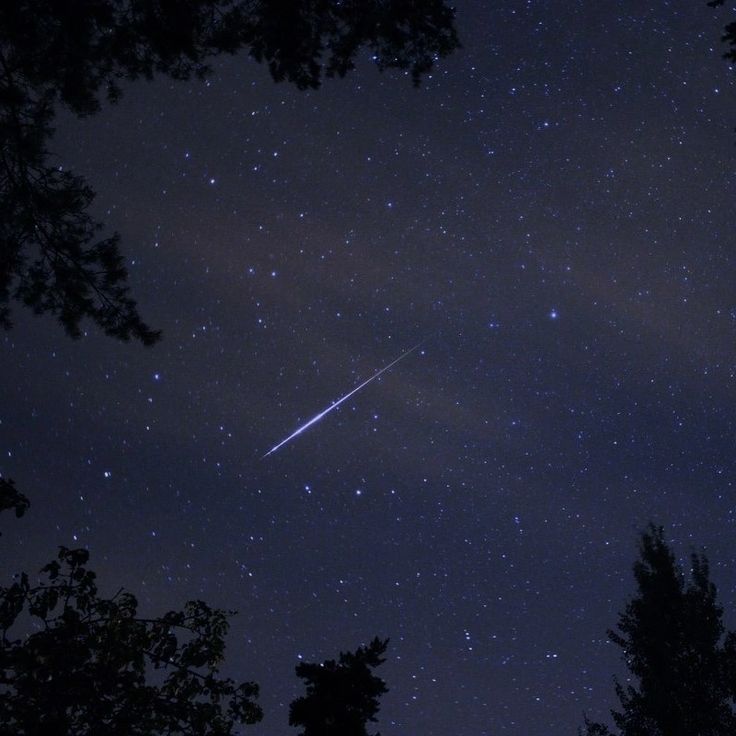 an airplane is flying in the night sky with stars and trees on it's side