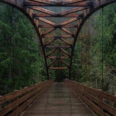 a wooden bridge in the middle of a forest