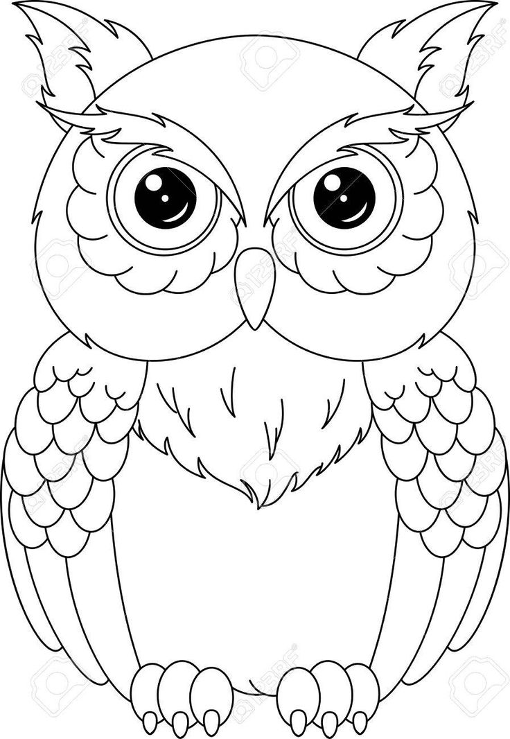 an owl with big eyes sitting on the ground coloring pages for kids, adult and child