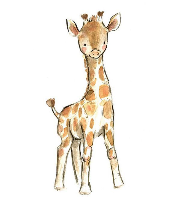 a drawing of a baby giraffe standing up