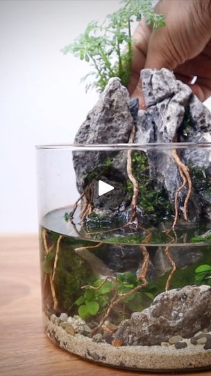 a person is placing rocks in a bowl filled with water and plants to look like they are growing out of the ground