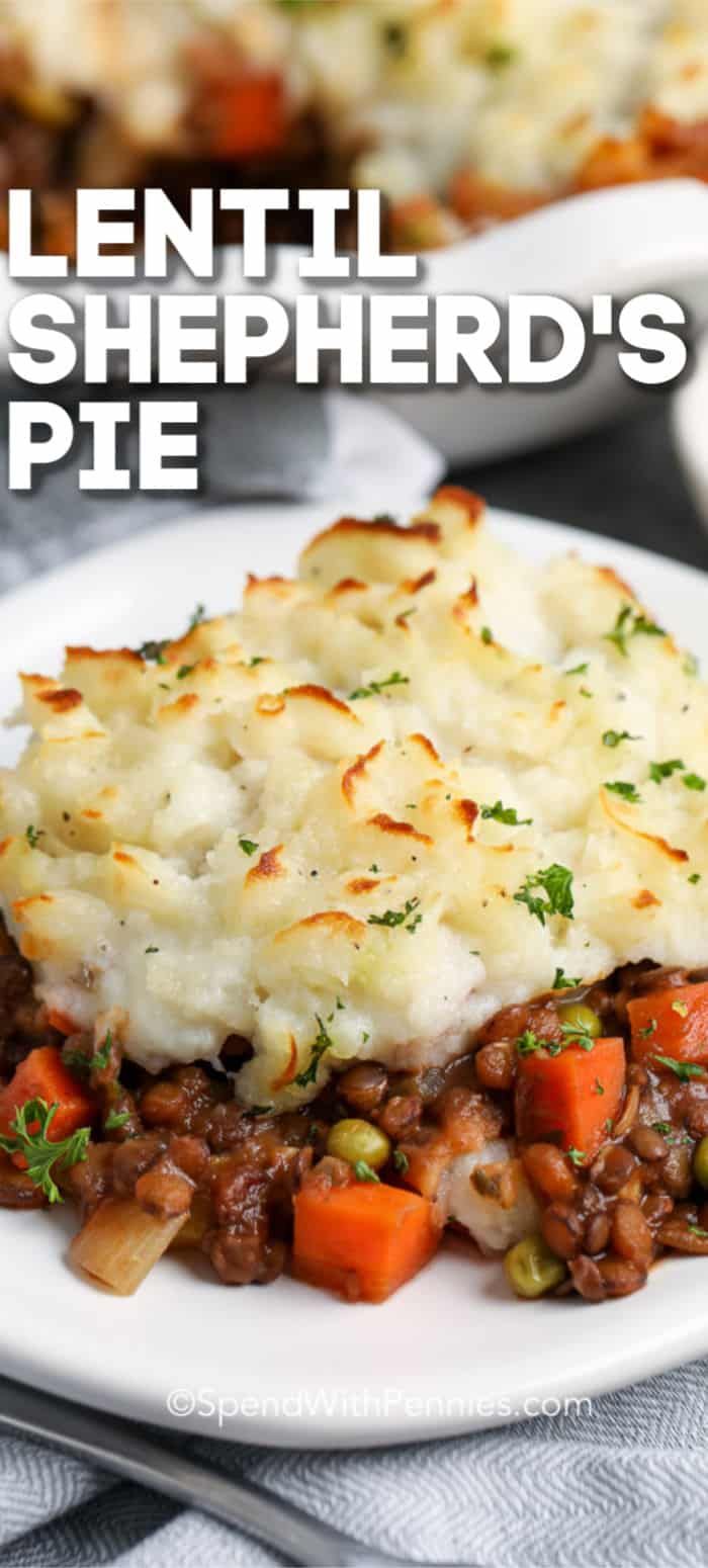 lentil shepherd's pie on a white plate