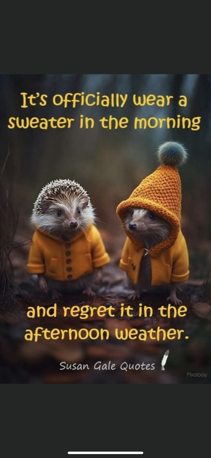 two hedgehogs wearing yellow jackets sitting next to each other in the woods with a quote from susan dale jones