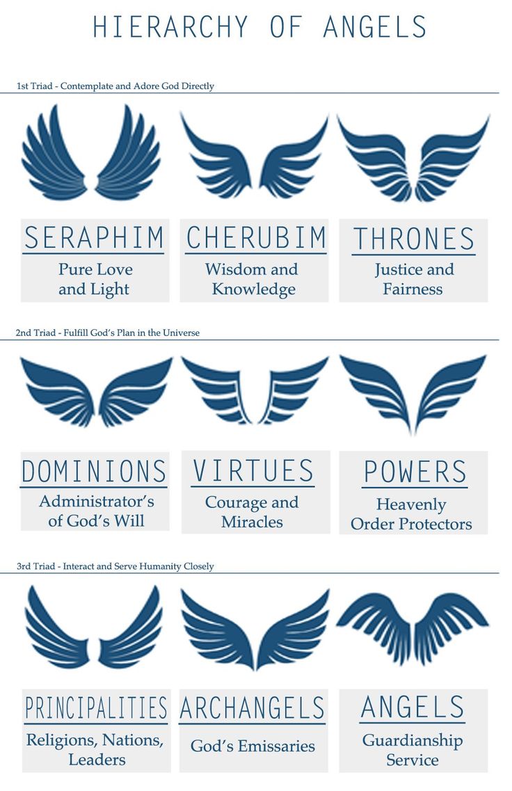 the different types of wings that can be used in logos, badges and emblems