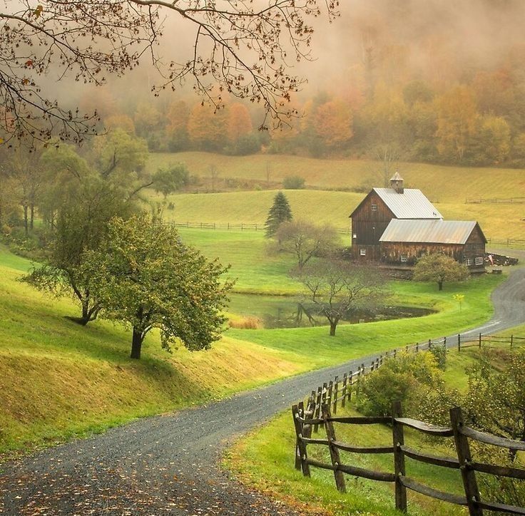 a country road with a barn in the distance and trees on either side, surrounded by fog