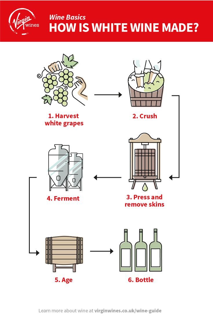 how is white wine made? info sheet for the winemaker's guide to making wines