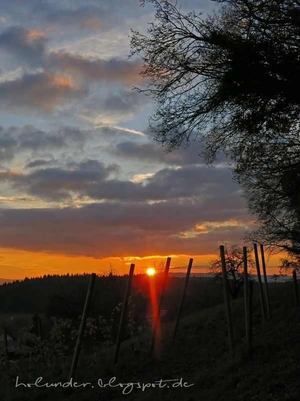 the sun is setting behind a fence with trees in the foreground and clouds in the background