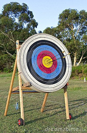 an archery target is on display in the grass