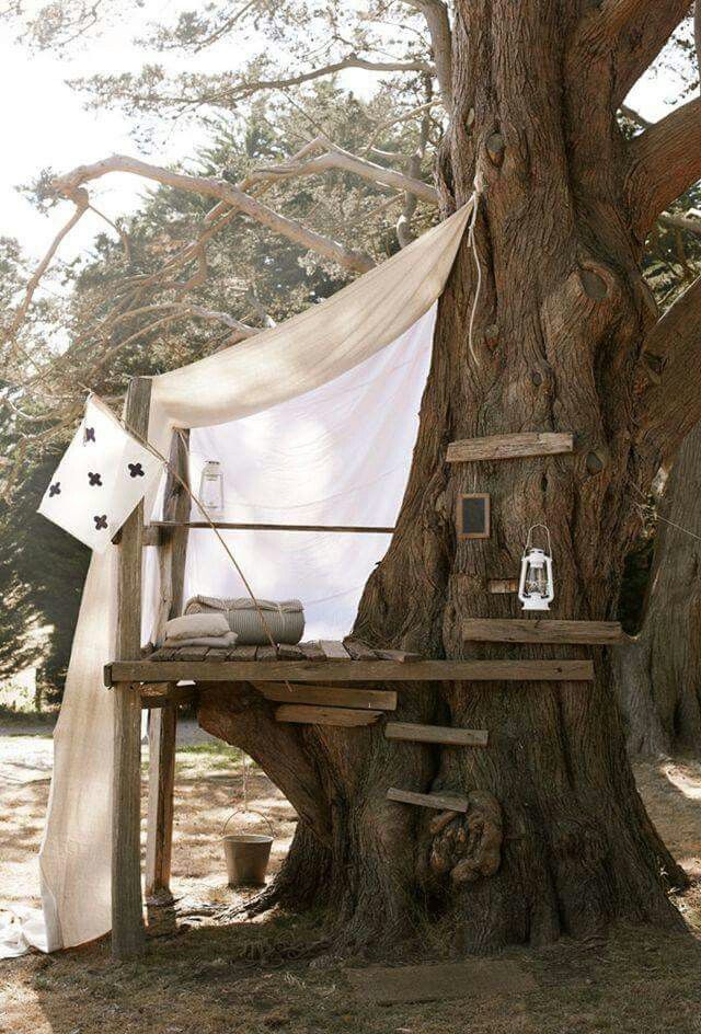 a tree house built into the trunk of a large tree