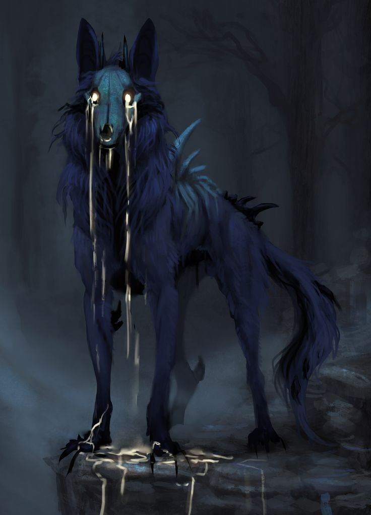 a wolf standing in the middle of a dark forest