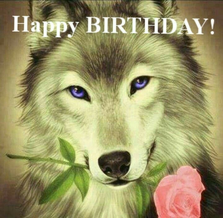 a happy birthday card with a wolf holding a rose