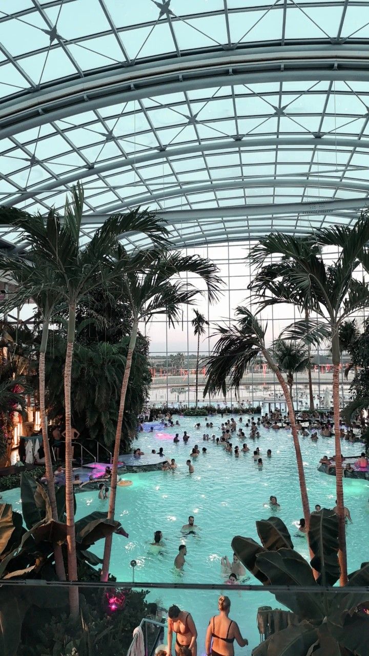 Palme, therme Bucharest, aesthetic, wallpaper Indoor Waterpark Aesthetic, Therme Bucharest, Centre Parcs, Water Theme Park, Aesthetic Place, Center Parcs, Movie Locations, Indoor Waterpark, Pool Rooms