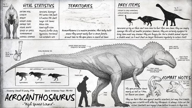 an image of dinosaurs and their names