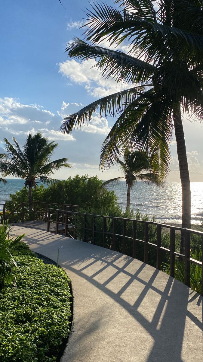 a walkway leading to the beach with palm trees on either side and water in the background