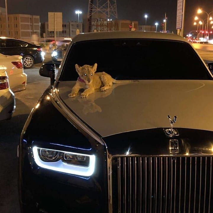 a car that is sitting on the hood of it's parked in a parking lot