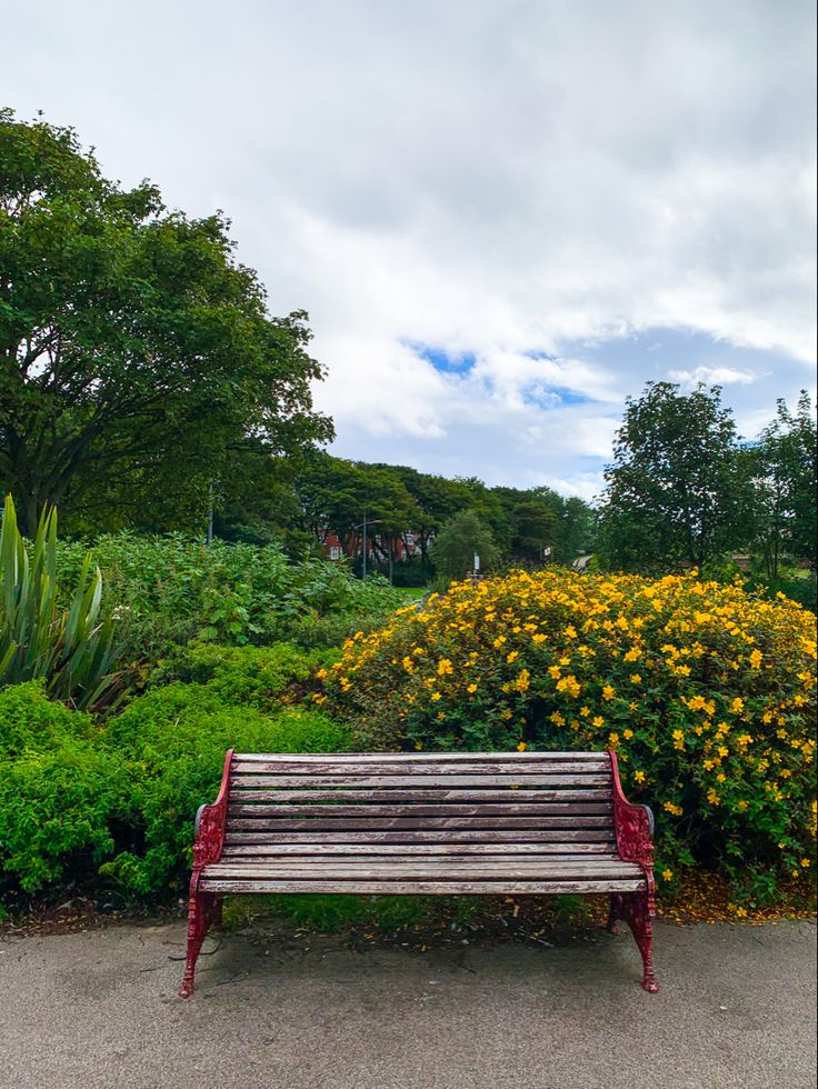 a wooden bench sitting next to a lush green park filled with yellow and white flowers