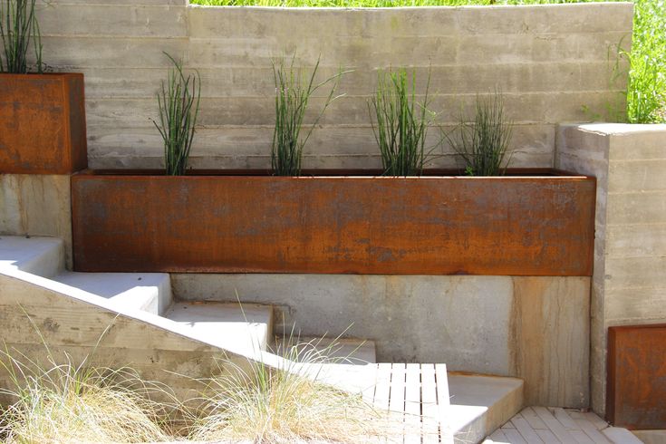 an outdoor area with concrete steps and planters on each side, grass growing in the middle