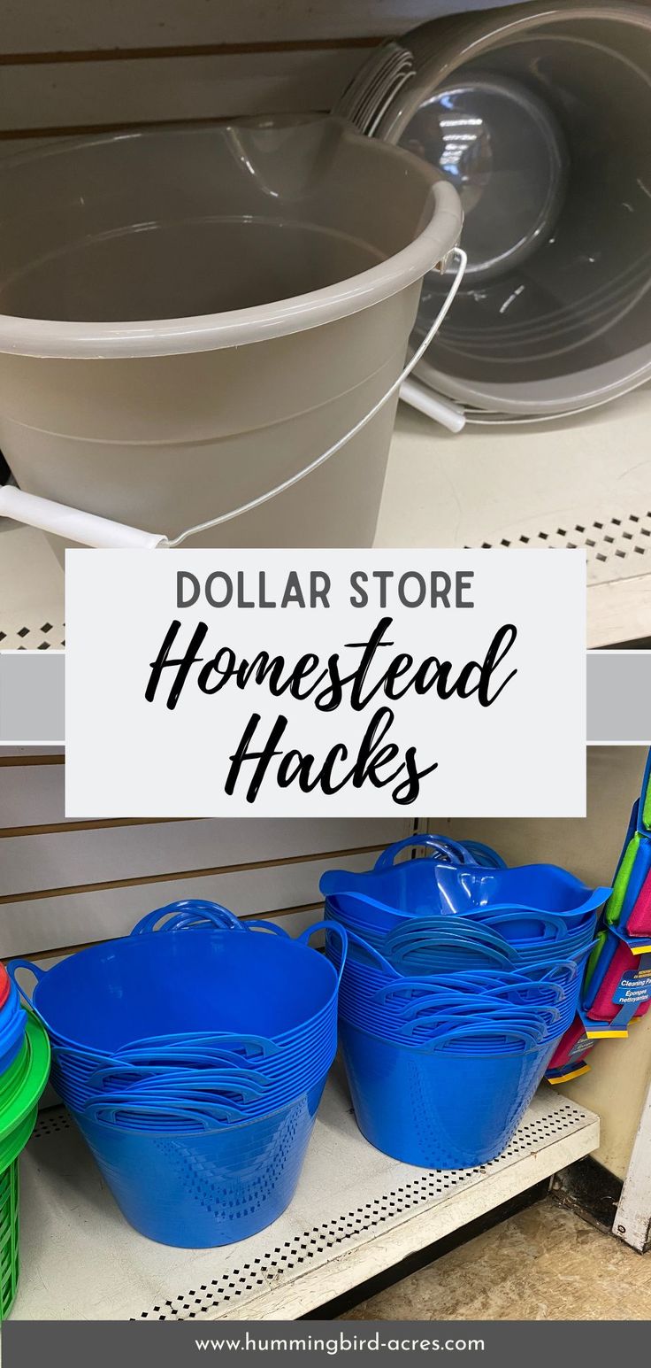 the dollar store is selling homestead hacks to keep them clean and organized for sale