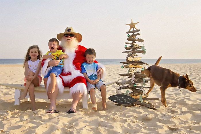 three children and an adult sitting on a bench in front of a christmas tree at the beach