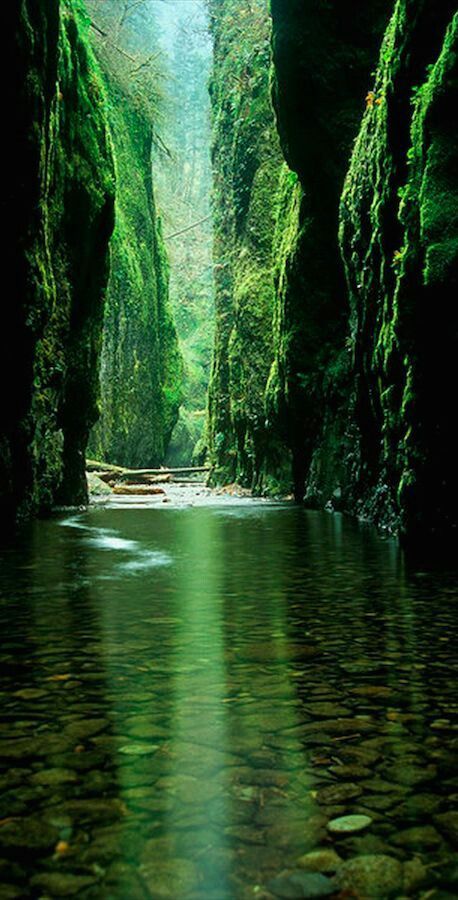 a river surrounded by green trees and rocks