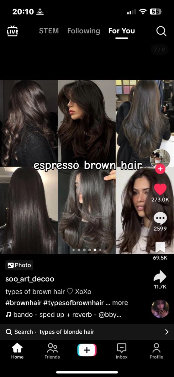 Dark Ash Hair Color, Types Of Brown Hair, Espresso Hair Color, Mocha Color Hair, Cool Brown Hair, Coffee Brown Hair, Brown Hair Color Shades, Dark Chocolate Brown Hair, Baylage Hair