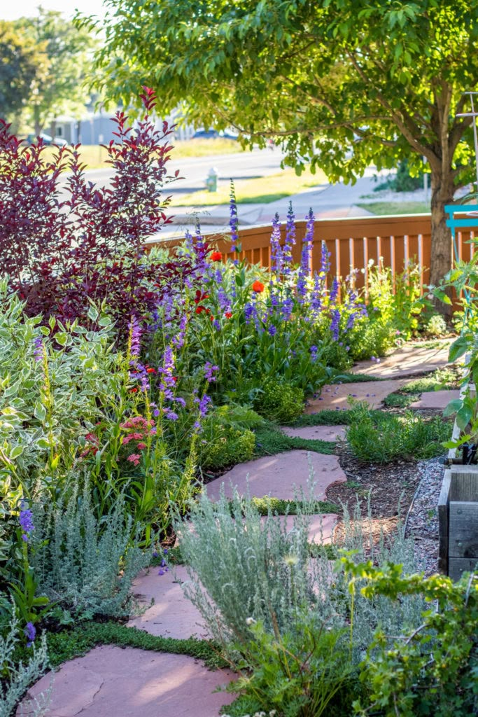 the garden is full of colorful flowers and plants, including lavenders, as well as other greenery