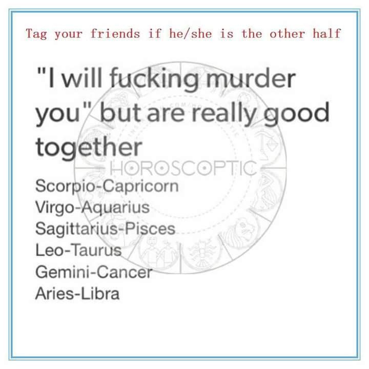 Gemini Relationship, Gemini Quotes, Scorpio Quotes, Aquarius Sign, Zodiac Funny, Zodiac Sign Traits, Gemini Man, Zodiac Stuff, Zodiac Society