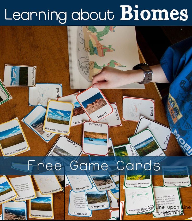 an image of learning about biomes with free game cards