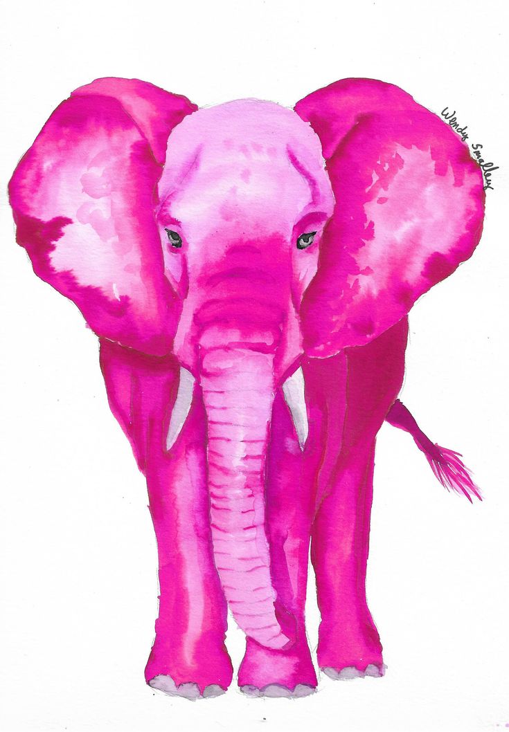 an elephant with pink paint on it's face and tusks, standing in front of a white background