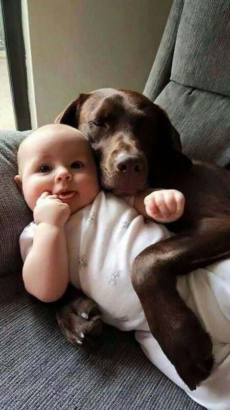 a baby laying on top of a brown dog