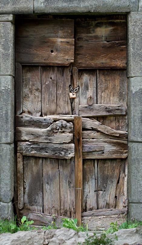 an old wooden door with stone walls and grass growing on the ground in front of it