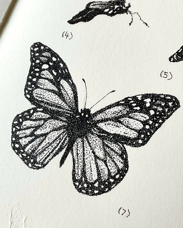 an image of three butterflies on paper