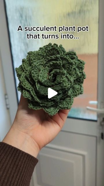 a person holding a green flower in front of a window with the words, a succulent plant pot that turns into