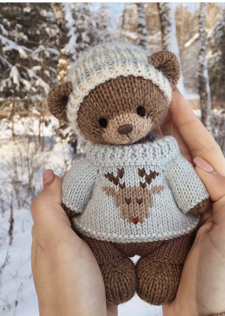 a person holding a teddy bear wearing a knitted sweater and hat in the snow