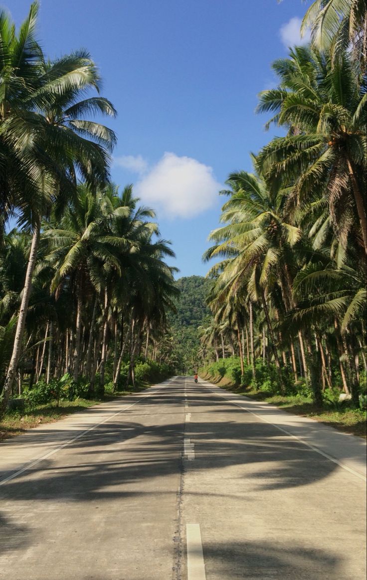 an empty road surrounded by palm trees on both sides