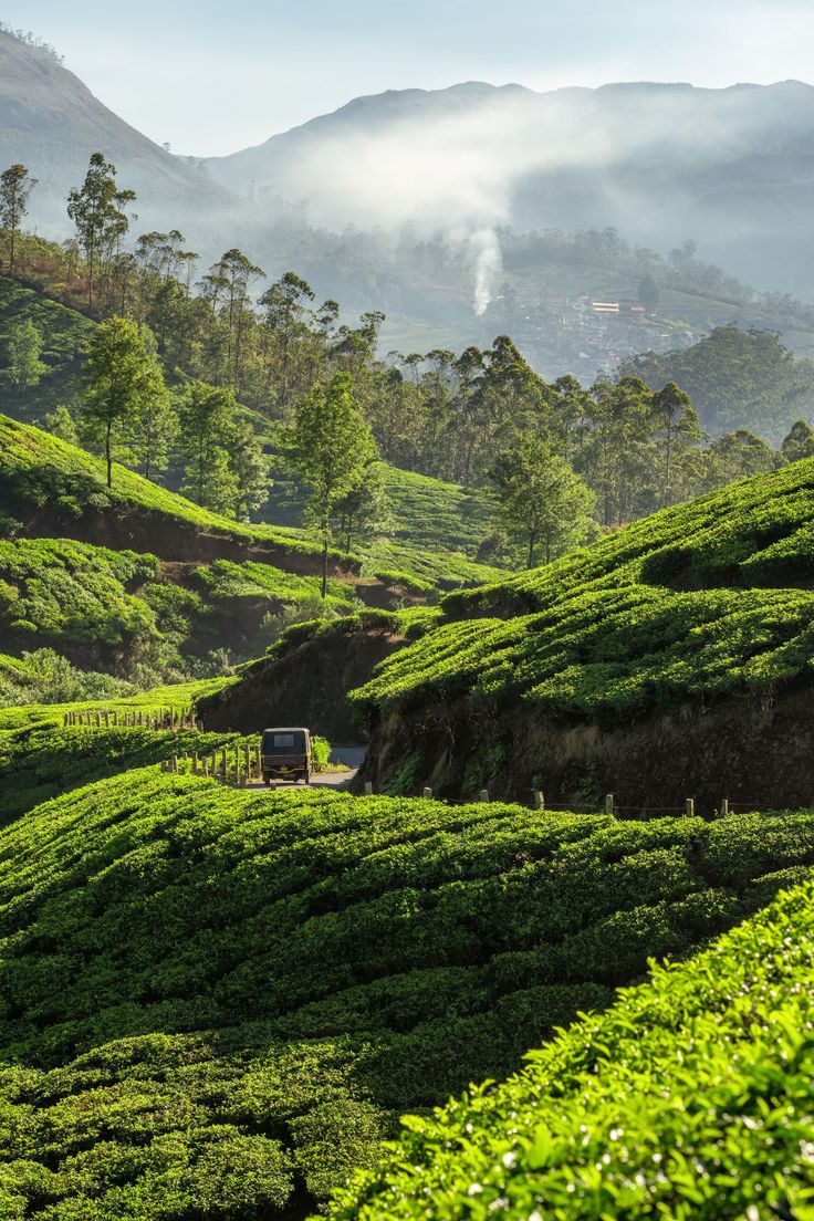 a truck driving down a road surrounded by lush green hills and tea bushes in the foreground