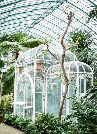 the inside of a glass house with lots of plants and trees in front of it