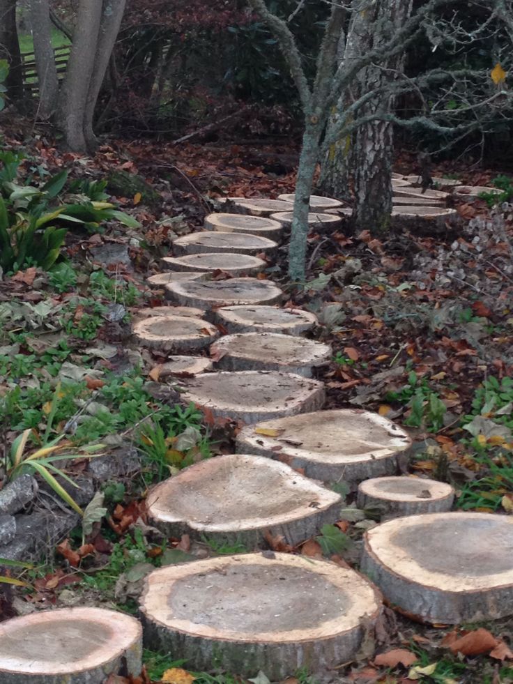 a path made out of logs in the woods