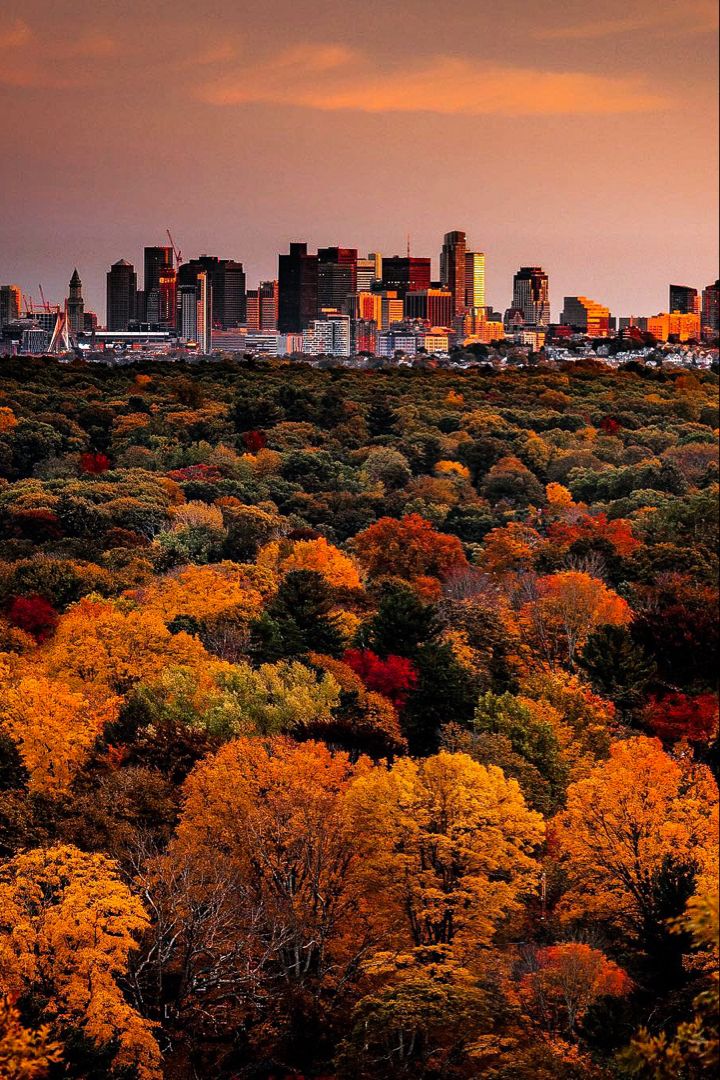 the city skyline is lit up in autumn colors as trees are turning yellow and red