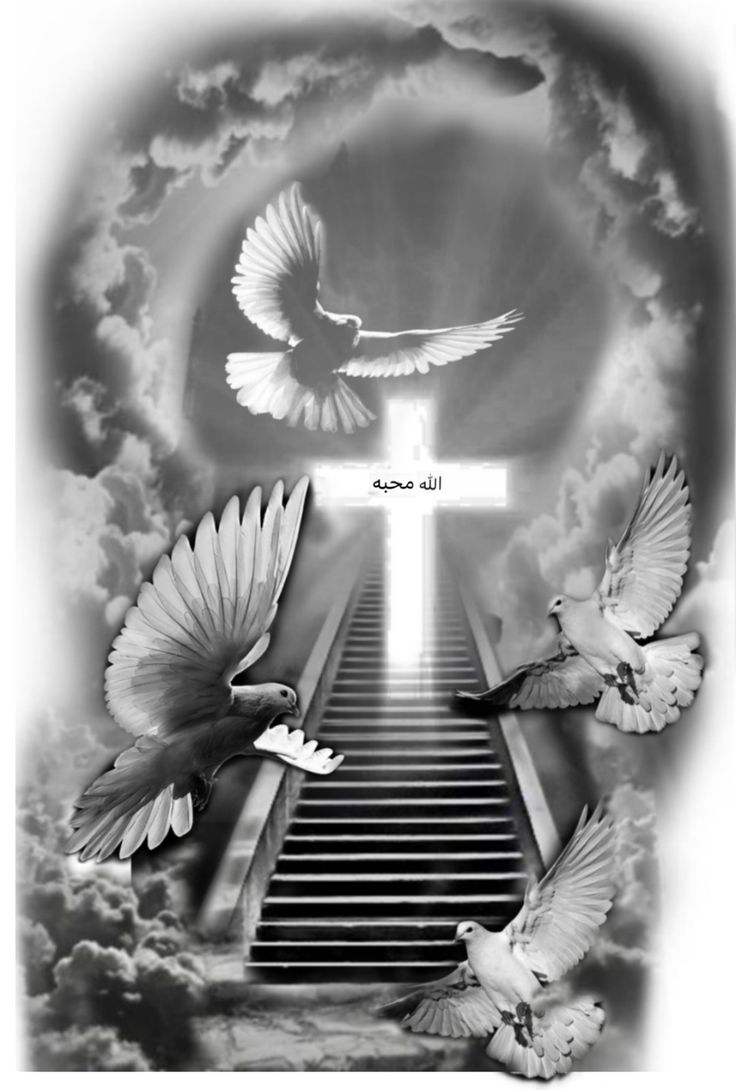 doves flying in the sky over stairs leading up to a cross with an arrow above it