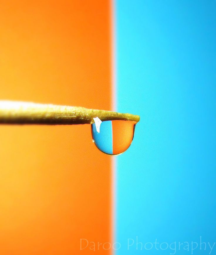 a drop of water sitting on top of a yellow and blue wall next to a green stick