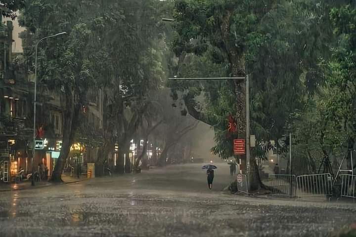 a person with an umbrella is walking down the street on a rainy day in the rain