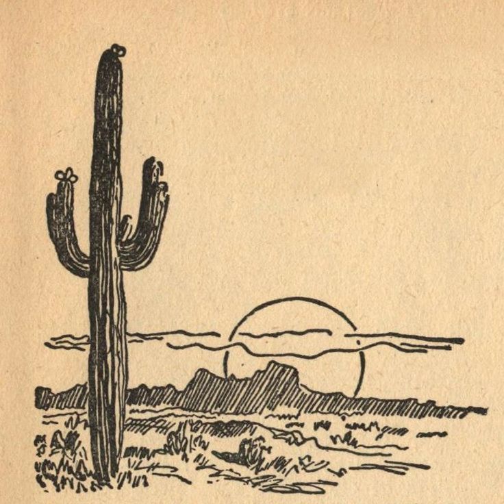 a drawing of a cactus in the desert