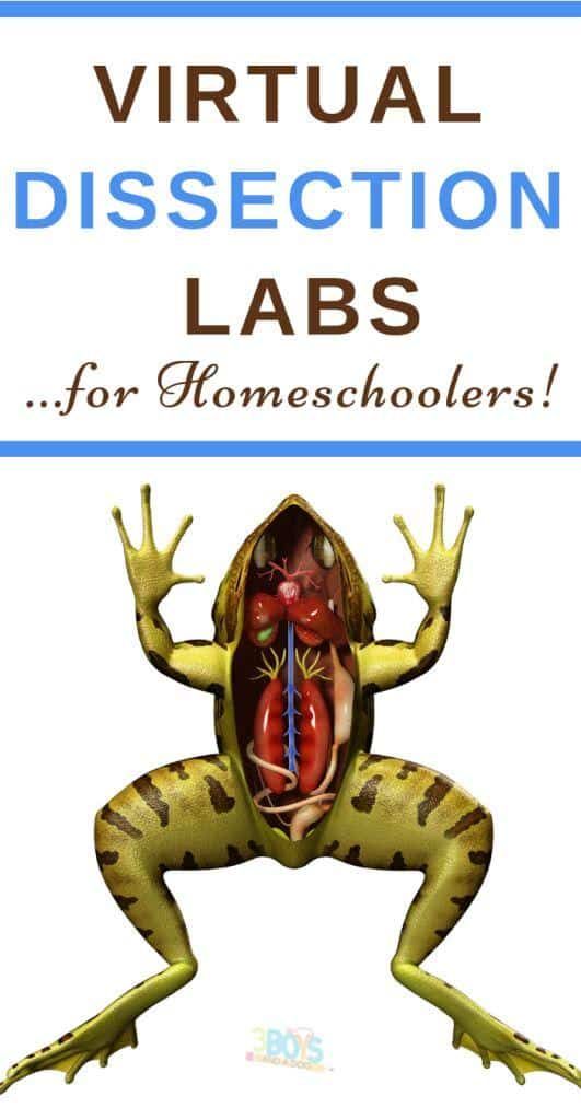 a frog with the words virtual dissection labs for homeschoolers on it