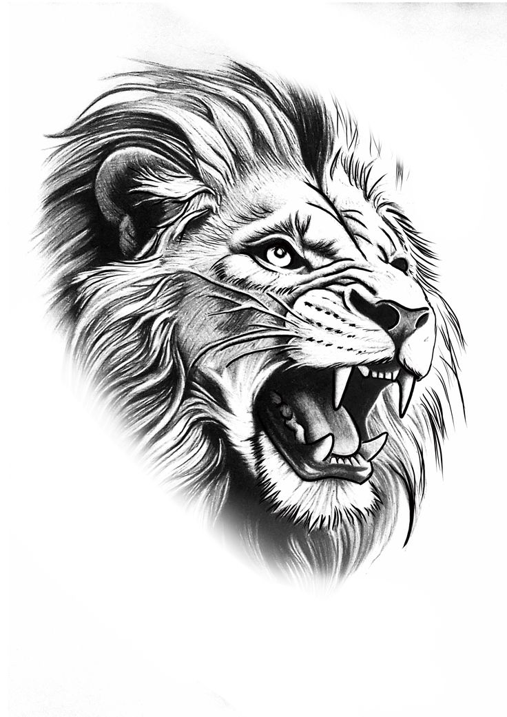 a black and white drawing of a lion's head with its mouth wide open