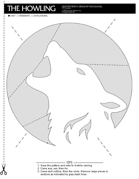 a drawing of a wolf's head in the middle of a circle