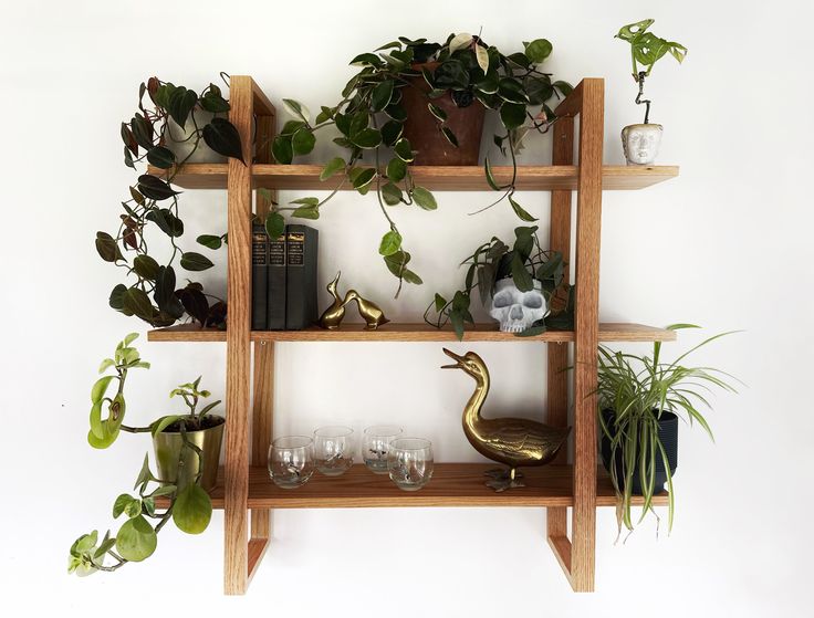 a shelf with plants and wine glasses on it, next to a wall mounted bookshelf