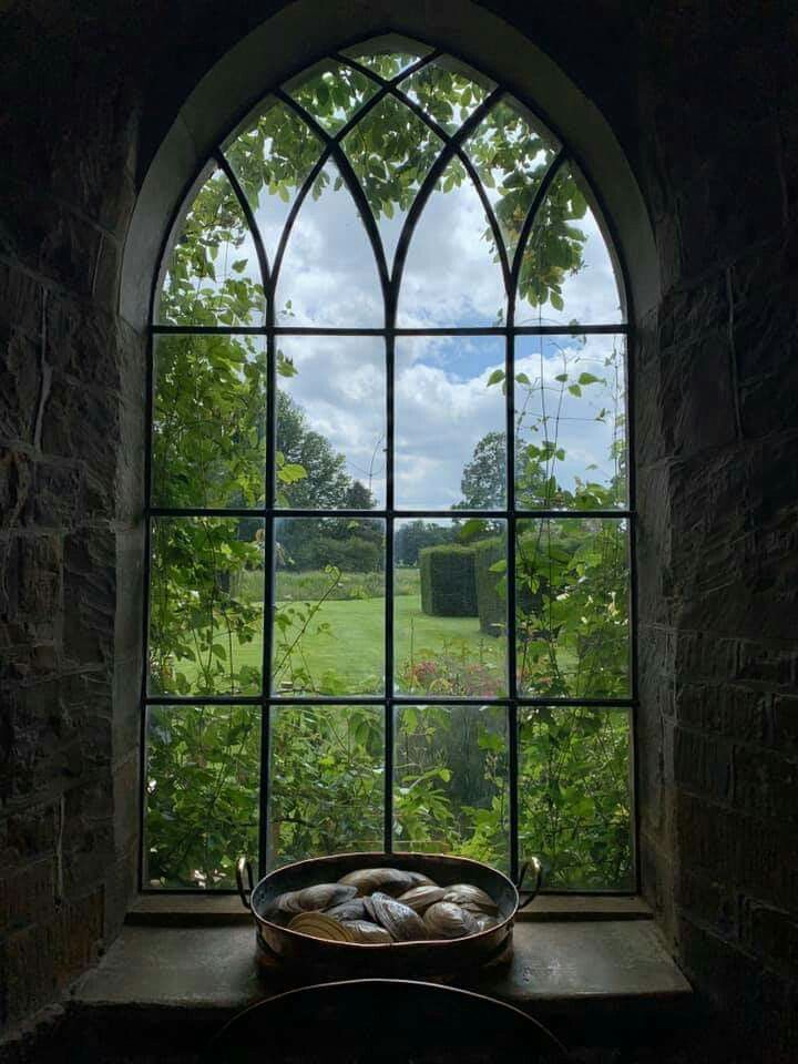 an open window with plants in it and the view out into a grassy field outside