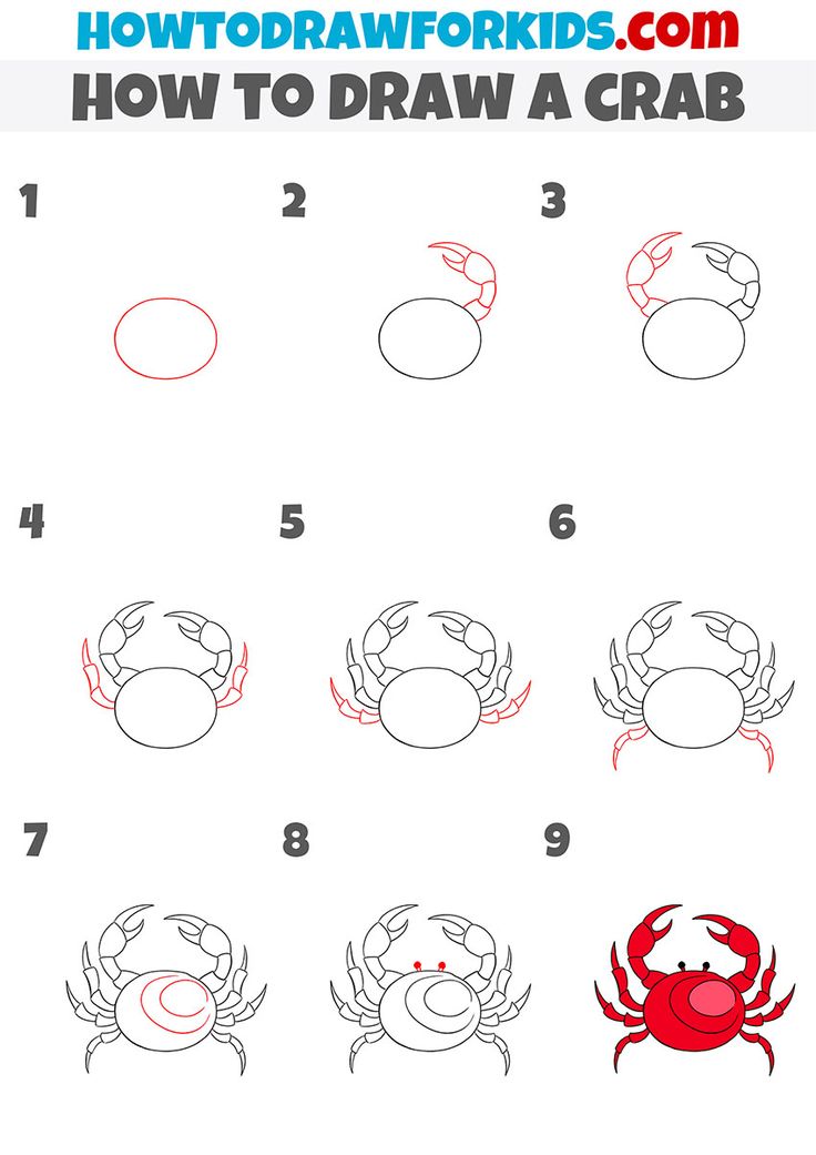 how to draw a crab step by step instructions for kids and beginners with pictures