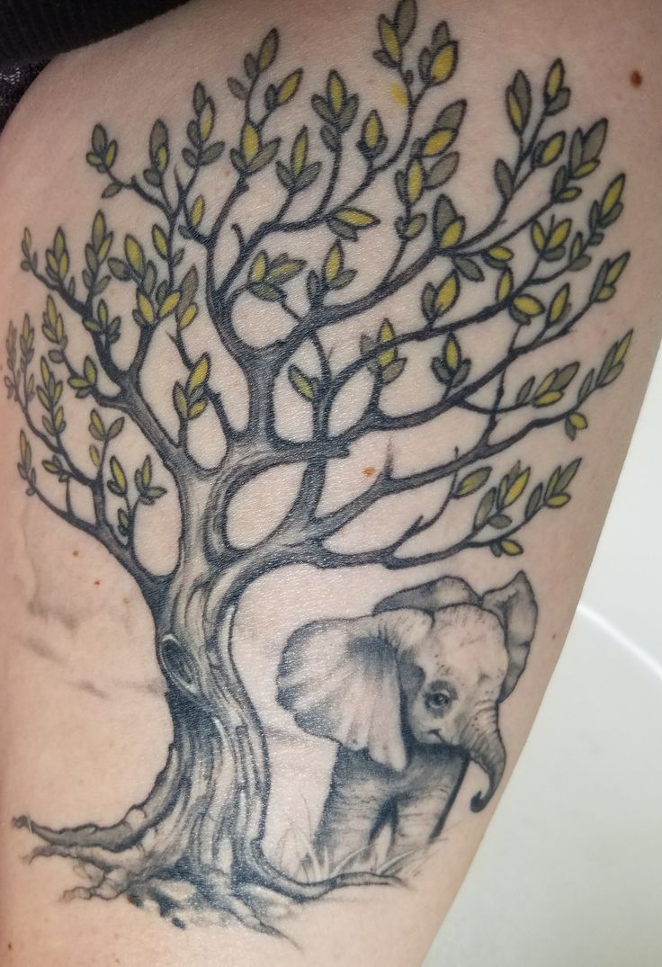 an elephant under a tree with leaves on it's back side, and its trunk in the shape of a heart